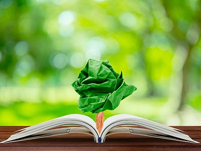 REAC – línea de investigación en Desarrollo Sostenible y Educación Ambiental