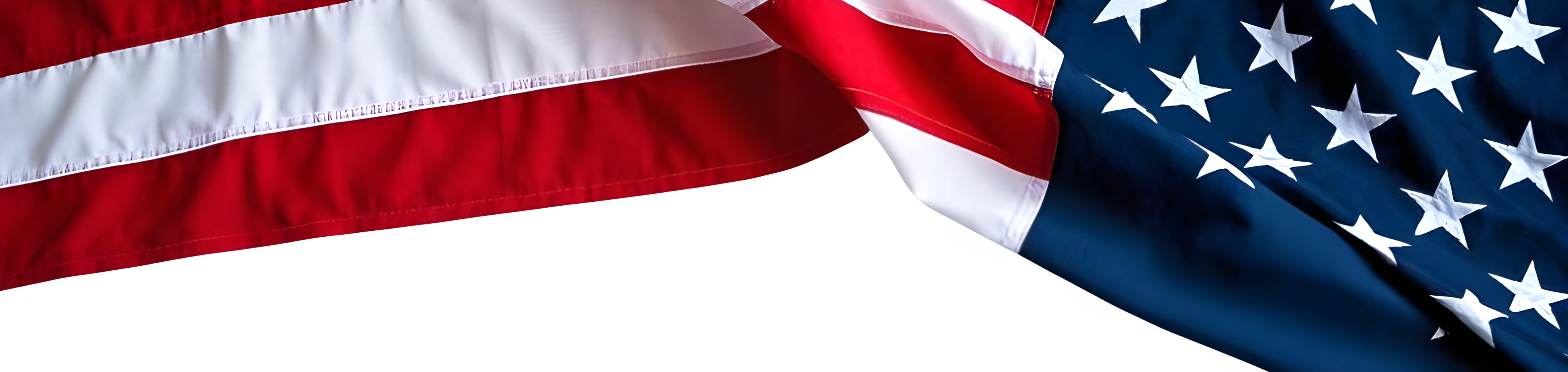 Bandera institucional