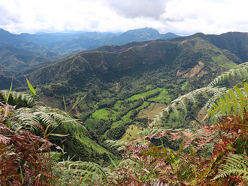 La Palma es uno de los municipios de Cundinamar con gran potencial turístico